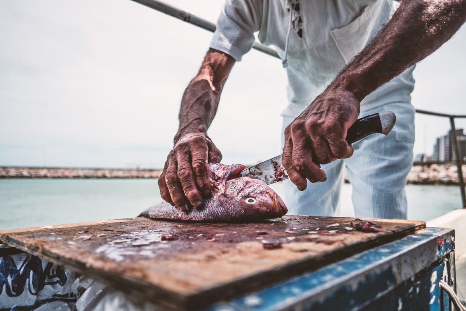 Escursione a Fortaleza - Brasile