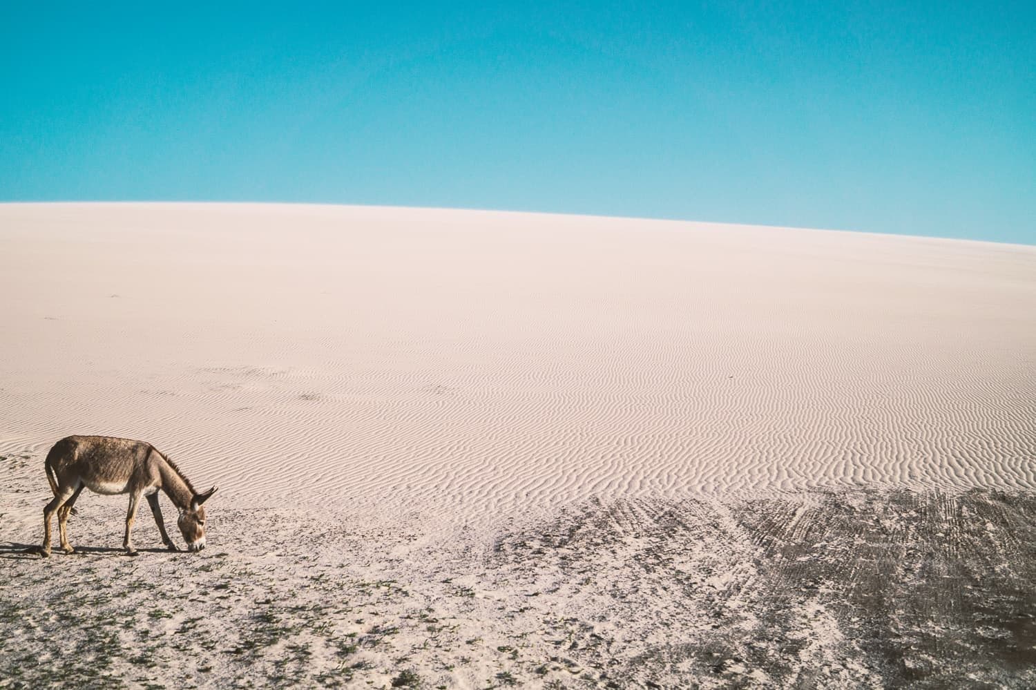 Tour in Brasile - Mosaico di colori - iPlanet - 3