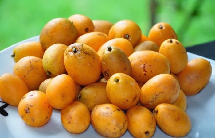 Tipi di frutta in Brasile - Caja-Frutta-del-Brasile