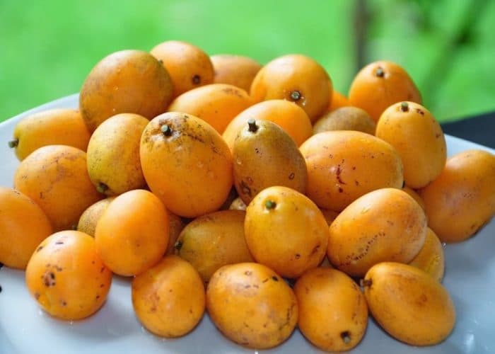 Tipi di frutta in Brasile - Caja-Frutta-del-Brasile