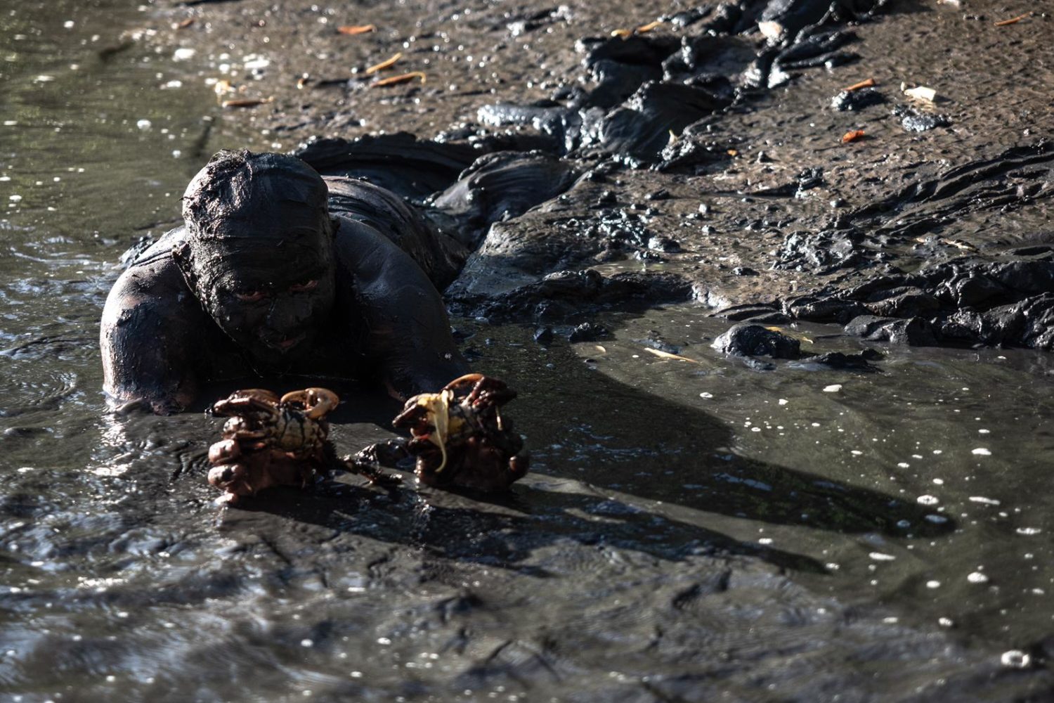 Tour Mosaico di Colori, Brasile
